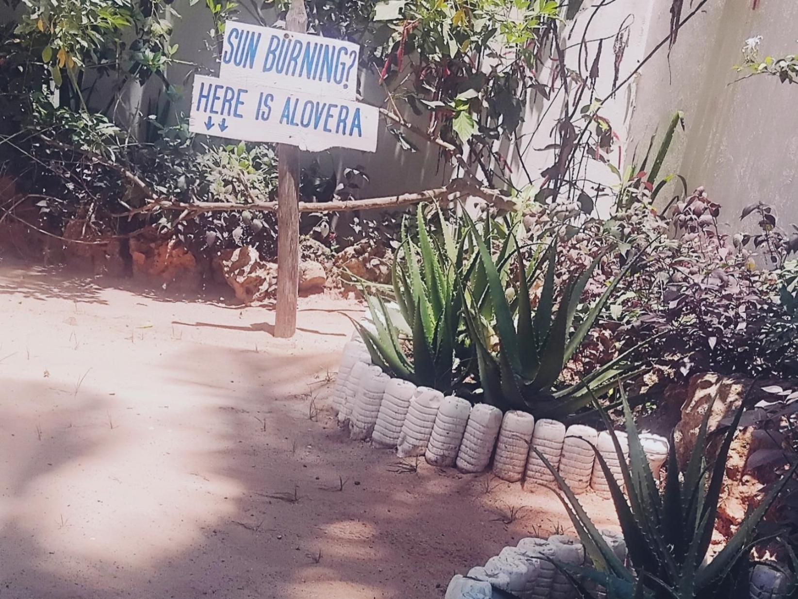 Hotel Maua Beach Kizimkazi Zewnętrze zdjęcie